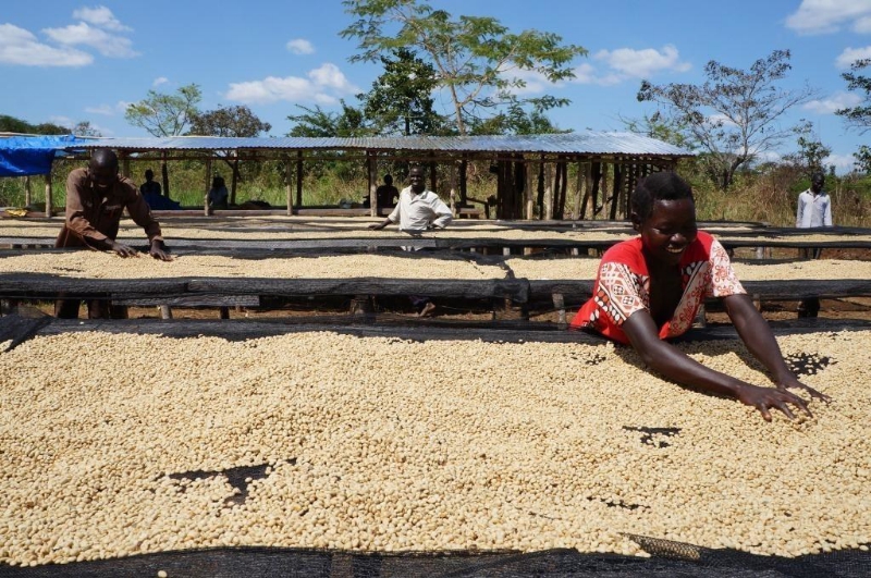 Nespresso South Sudan Свежеобжаренный кофе в минске